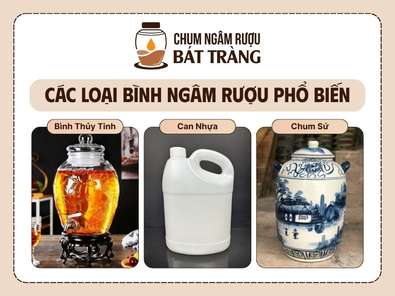 So sánh các loại bình ngâm rượu phổ biến