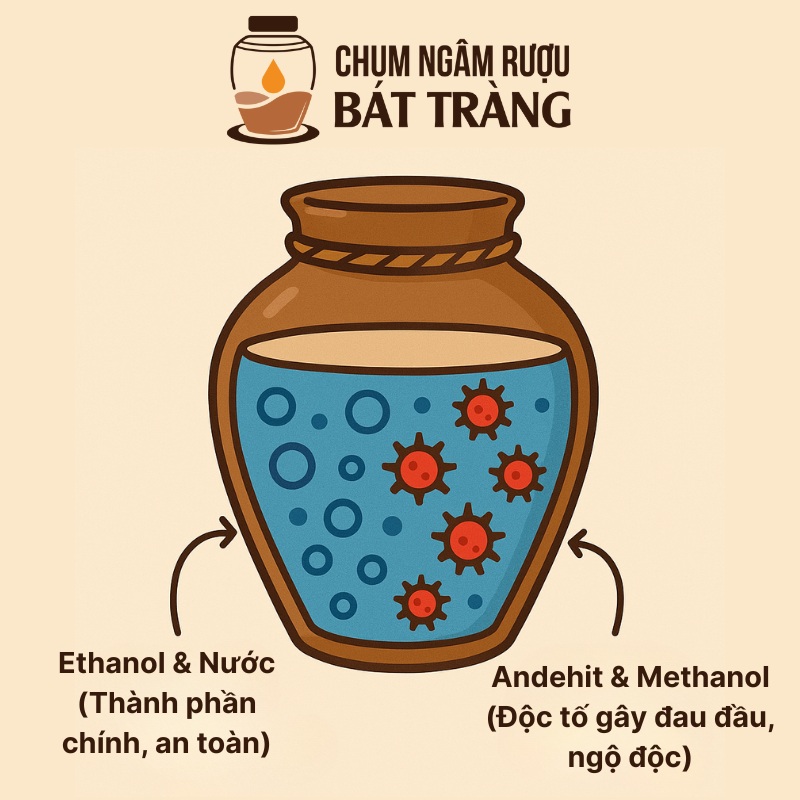 Cơ chế khử độc của chum sành 