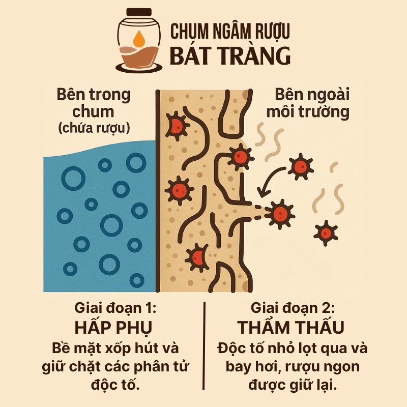 Cơ chế khử độc của chum sành 