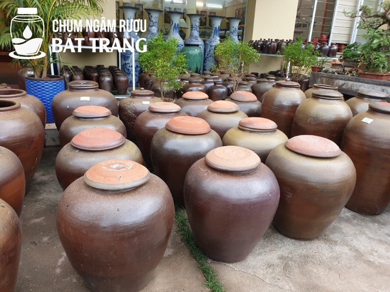 Chum ngâm rượu Bát Tràng